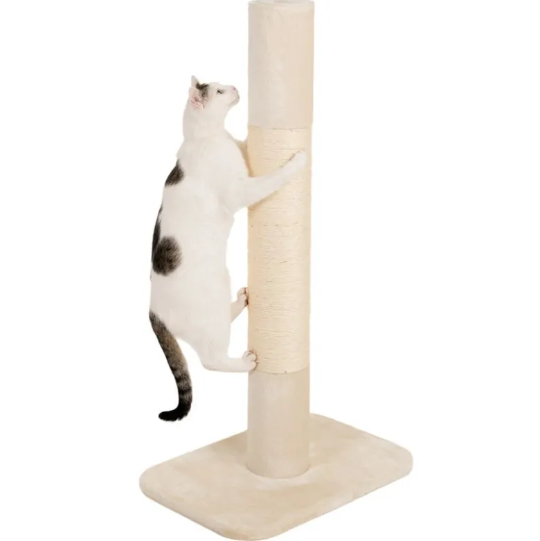 XXL Jumbo Kradsestamme