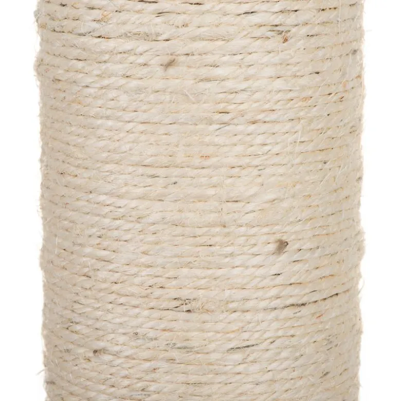 XXL Jumbo Kradsestamme