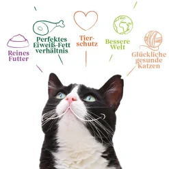 Yarrah Øko Sterilised