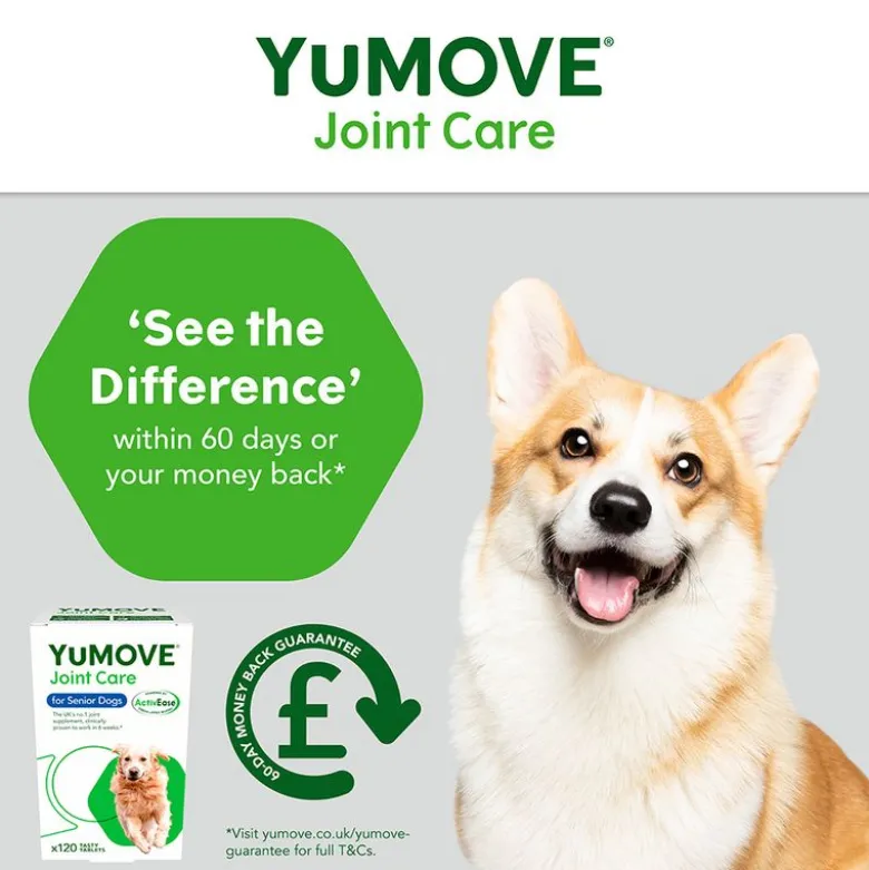 YuMOVE ledpleje til ældre hunde