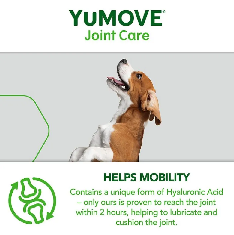 YuMOVE-ledpleje til voksne hunde