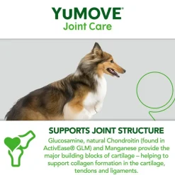 YuMOVE-ledpleje til voksne hunde