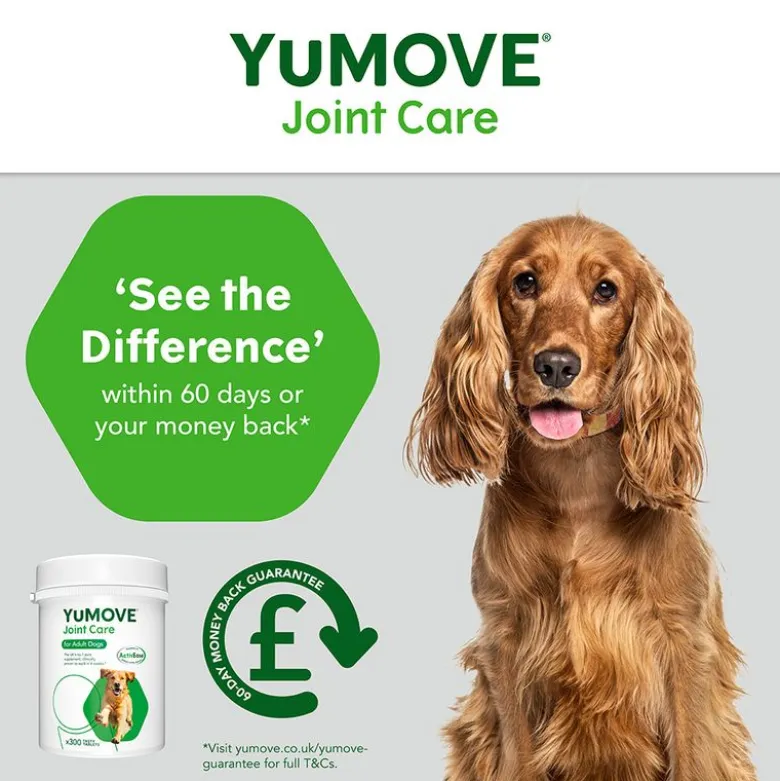 YuMOVE-ledpleje til voksne hunde