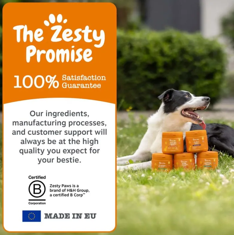 Zesty Paws 5-i-1 godbidder med kalkun