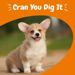 Zesty Paws Urinary Care Chews Tranebær