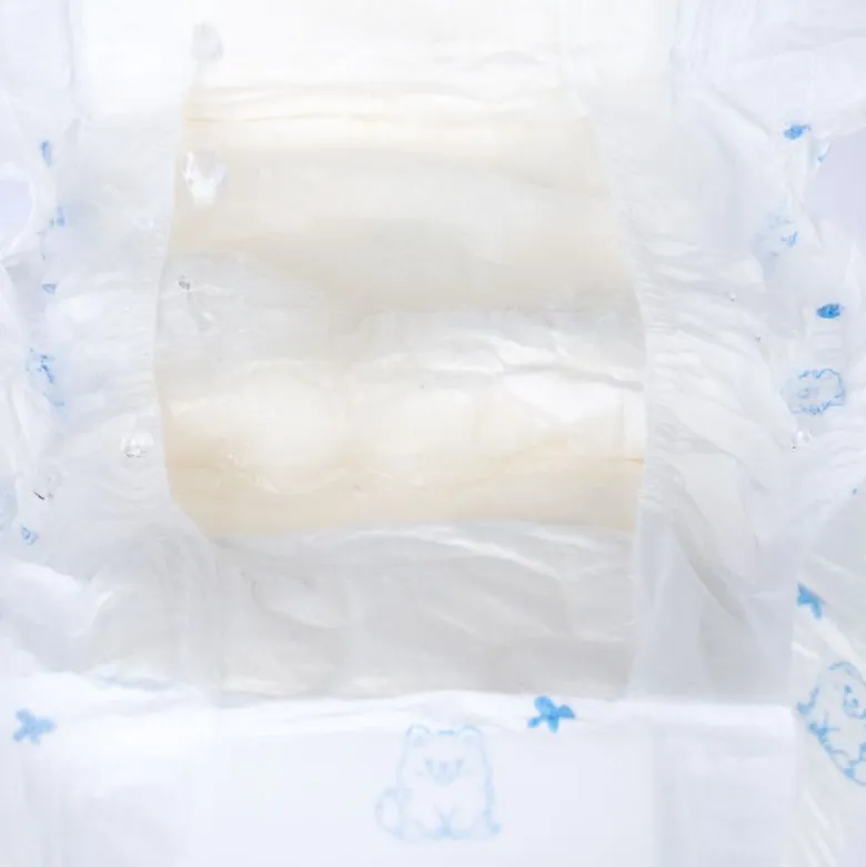 zooplus Basics bleer til hanhunde