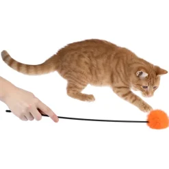 zooplus Basics drillepind med pompon
