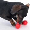 zooplus Basics gummibolde til hunde