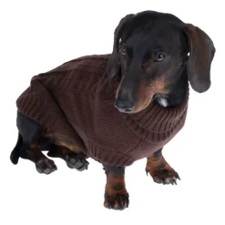 zooplus Basics hundetrøje, brun