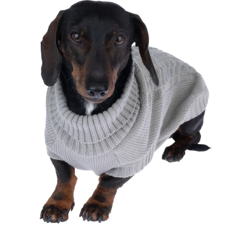 zooplus Basics hundetrøje, grå