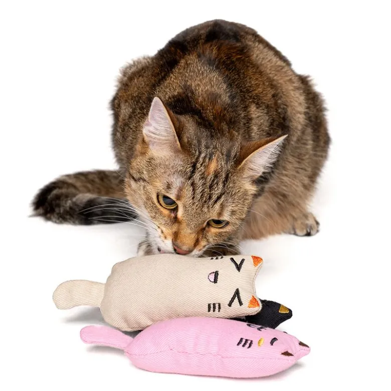 zooplus Basics kattelegetøjssæt Kitty med katteurt