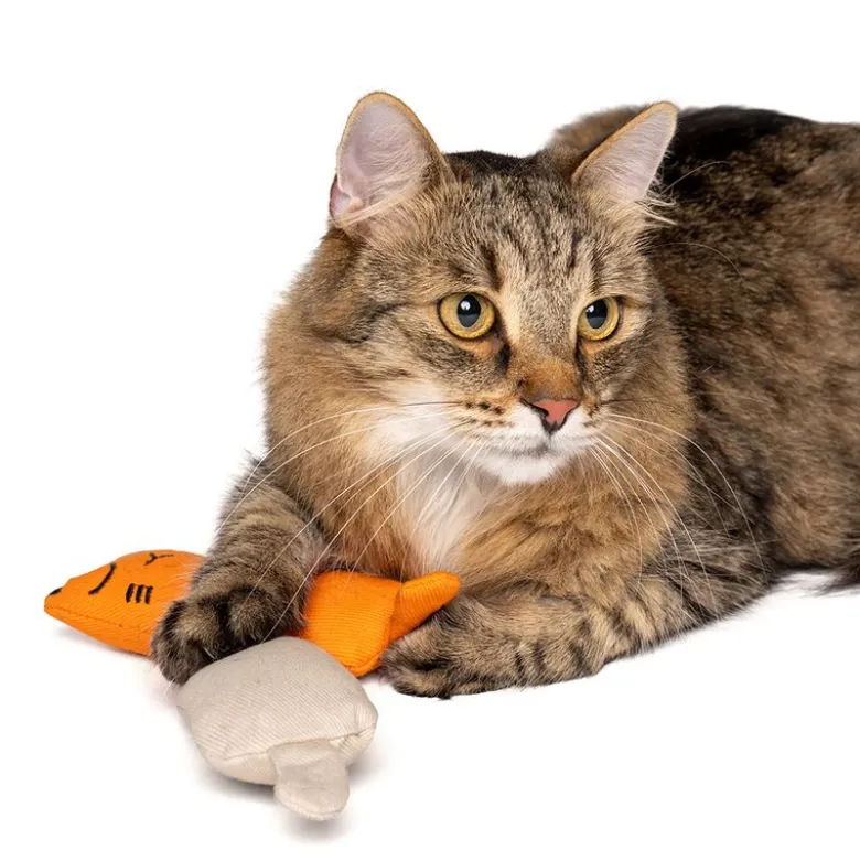 zooplus Basics kattelegetøjssæt Kitty med katteurt
