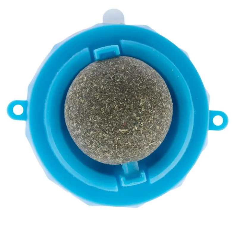 zooplus Basics katteurt-bold