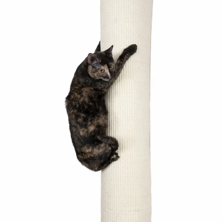 zooplus Basics klatresæk til katte