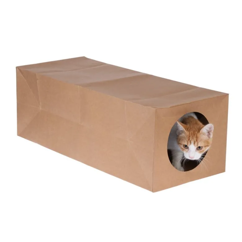zooplus basics papirtunnel til katte