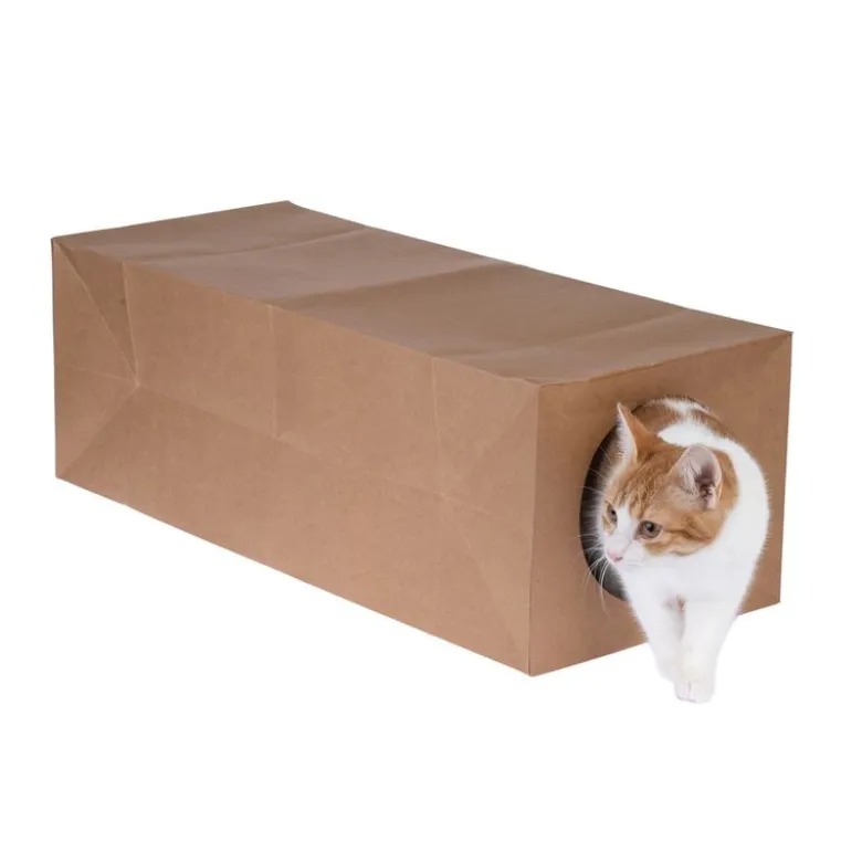 zooplus basics papirtunnel til katte