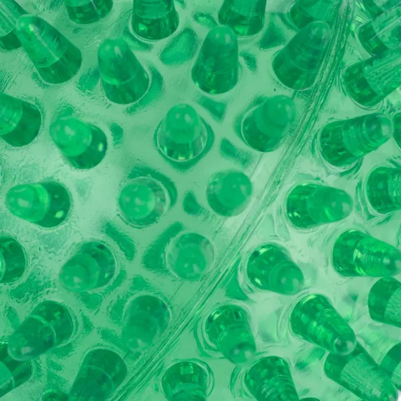 zooplus basics piggebolde-sæt