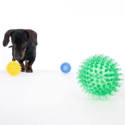 zooplus basics piggebolde-sæt