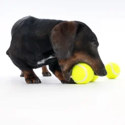 zooplus Basics tennisbolde-sæt