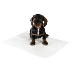 zooplus beskyttelsesunderlag til hundehvalpe